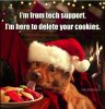 Cookies meme.jpg