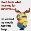 i-told-santa-what-i-wanted-for-christmas-he-washed-6510899-1.png