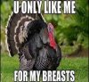 FB_IMG_1574967082562.jpg