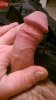 WP_20191128_17_04_06_Pro.jpg