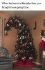 christmasmemes315bfd5d26672a8__700-1.jpg