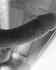 8850A078-FDB7-4EA6-AD4C-7CED3C6401D1.jpeg