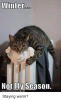 winter-not-my-season-staying-warm-25617520.png