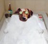 Bathtub-Party-Day.jpg