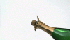 DetailedThickCheetah-max-1mb.gif
