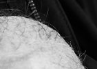 IMG_1676.jpeg