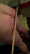 20231120_105456.gif