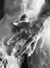 IMG_8531.jpeg