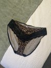 IMG_2672.jpeg