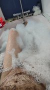 IMG_20250724_074008.jpg