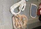 IMG_2287.jpeg