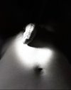 IMG_2946.jpeg