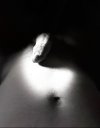 IMG_2946.jpeg