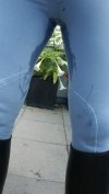 IMG_0658.jpeg