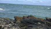 IMG_1081.jpeg