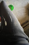 IMG_1023.jpeg