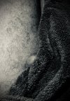 IMG_6690.jpeg