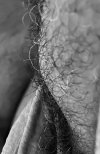 IMG_6891.jpeg