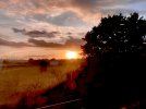 IMG_1850.jpeg