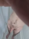 20251019_111851.jpg