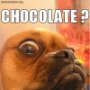 astounding-inspiration-chocolate-meme-3.jpg