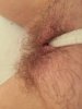 image.jpeg