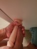 839_1000.jpg