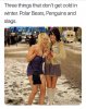 FB_IMG_1576691972322.jpg