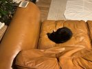 IMG_0569.jpeg