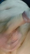 20251120_201343.jpg