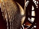 IMG_6574.jpeg