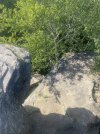 IMG_3623.jpeg