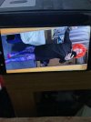 IMG_1801.jpeg