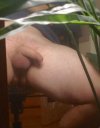 IMG_1784.JPG