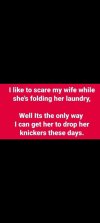 IMG_2478.jpeg