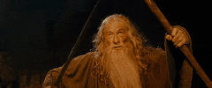giphy-downsized-large-1255219471.gif