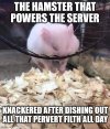 hamster.jpg