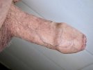 IMG_4449.jpeg