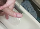17709342494266389434861390846167.jpg