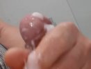 IMG_4374.jpeg