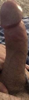IMG_4395.jpeg