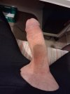 cock1 (3).jpg