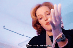 IMG_1247.gif