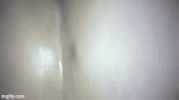 IMG_0097.gif
