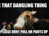 that-dangling-thing-please-dont-pull-ur-pants-up-quickmeme-com-51764346-1.png