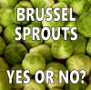 brussel-sprout-yes-or-no-brussels-sprouts-meme-www-topsimages-com-52141879-1.png