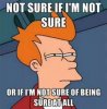 futurama-not-sure-if-1.jpg