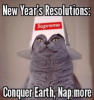 new-years-resolutions-supreme-conquer-earth-nap-more-10-top-53336679-1.png