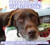 images-for-happy-new-year-memes-2020-1.jpg