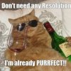 perfect-new-year-resolution-meme.jpg